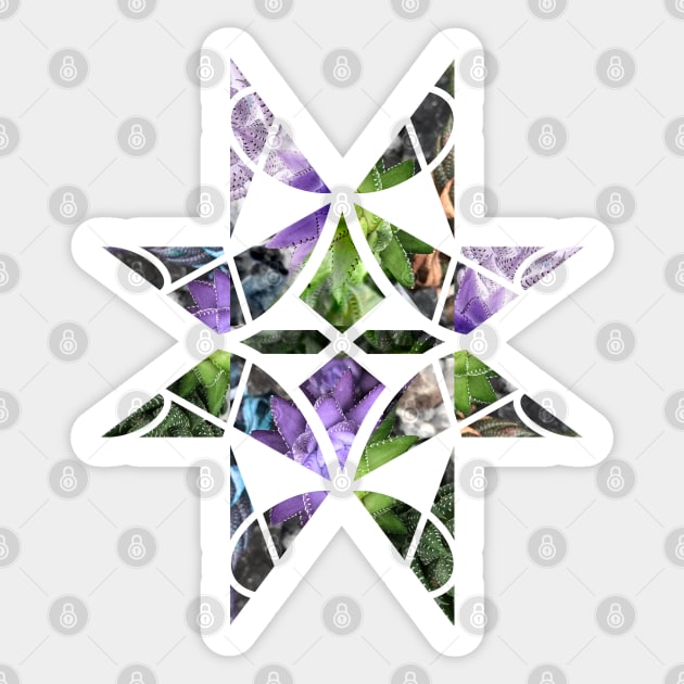 Purple geometric succulent Sticker by MK-Marvin